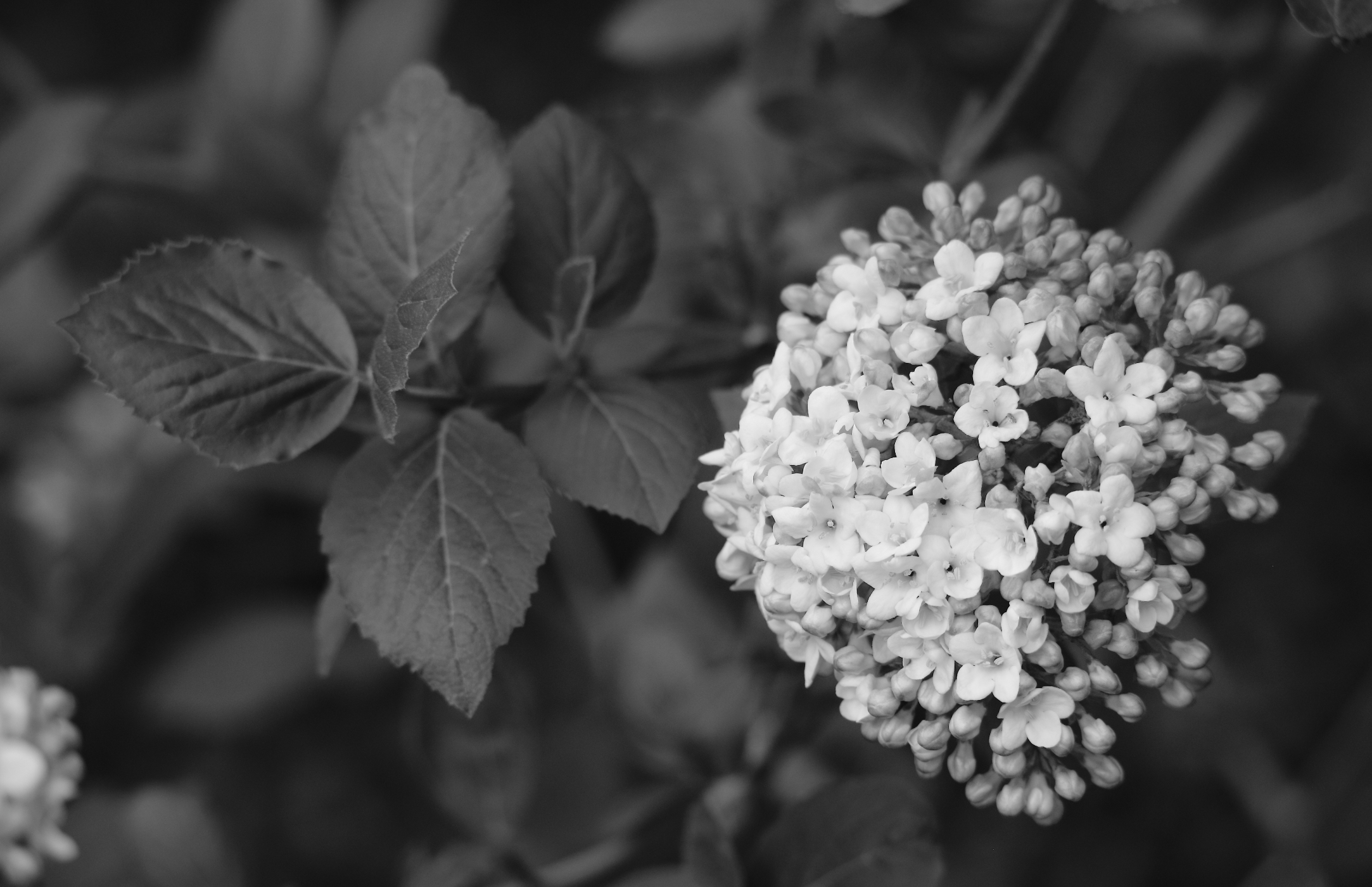2019 05 01 HTP 90221ebw